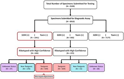 Prevalence of diagnostically-discrepant Clostridioides difficile clinical specimens: insights from longitudinal surveillance